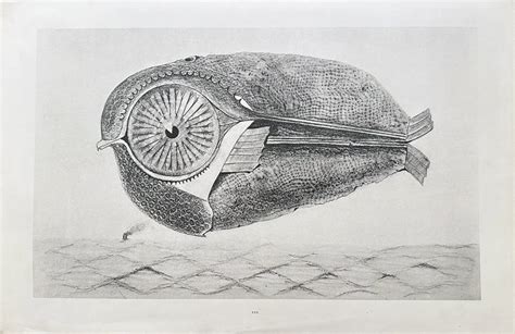 Max Ernst Frottage