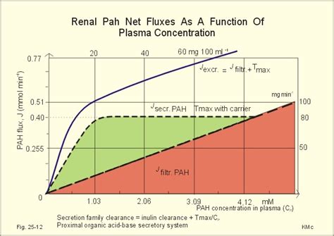 maximum rate to give bumex push - RaphaelFort