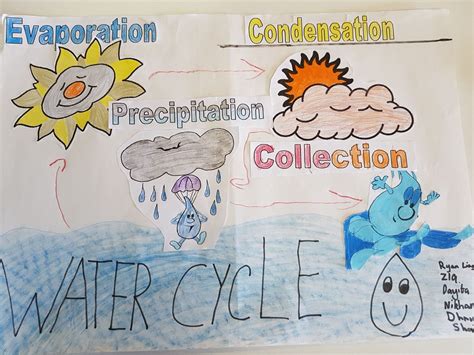 May 2019 8211 Grade 3 Water Cycle Worksheet 10th Grade - Water Cycle Worksheet 10th Grade