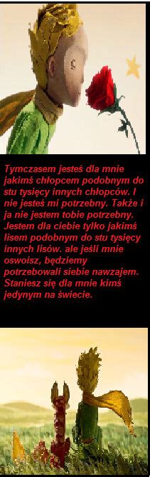 Mały Książe Test