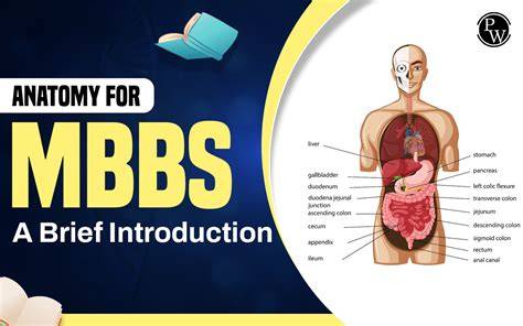 mbbs anatomy studying tips