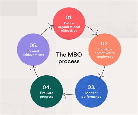 Mbo Stands For