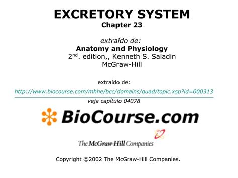 mcgraw hill excretory system study guide answers