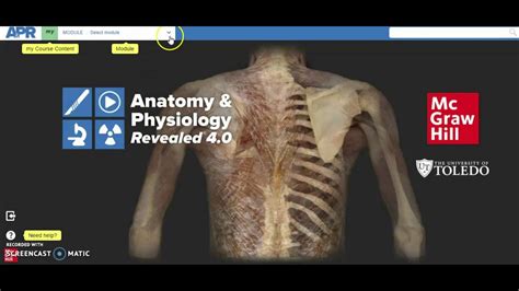 Read Mcgraw Hill Online Quizzes Anatomy 