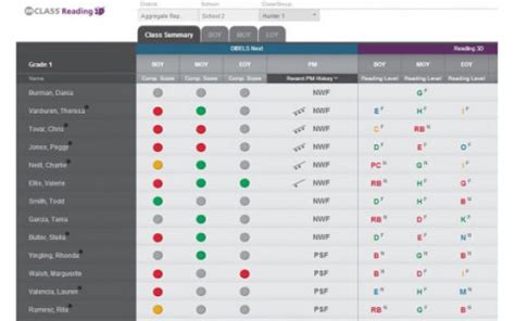 Mclass Reading 3d Benchmark And Progress Monitoring