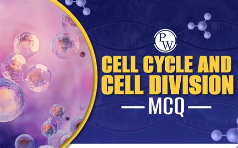 Mcq On Cell