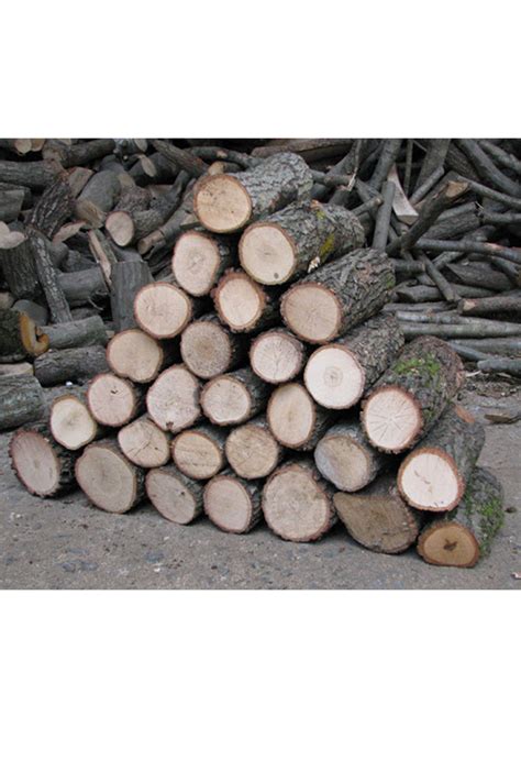 meşe odunu ton fiyatı 2021 