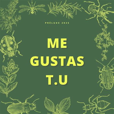 Me Gustas Tú