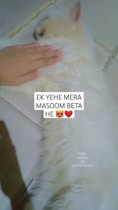 Me Or Mera Beta