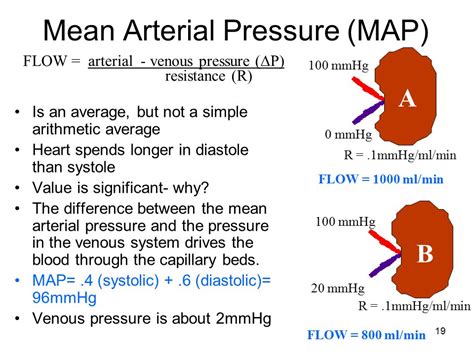 Mean Bp Calculator   Mean Arterial Pressure Calculator - Mean Bp Calculator