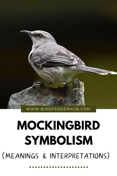 Meaning Of A Mockingbird