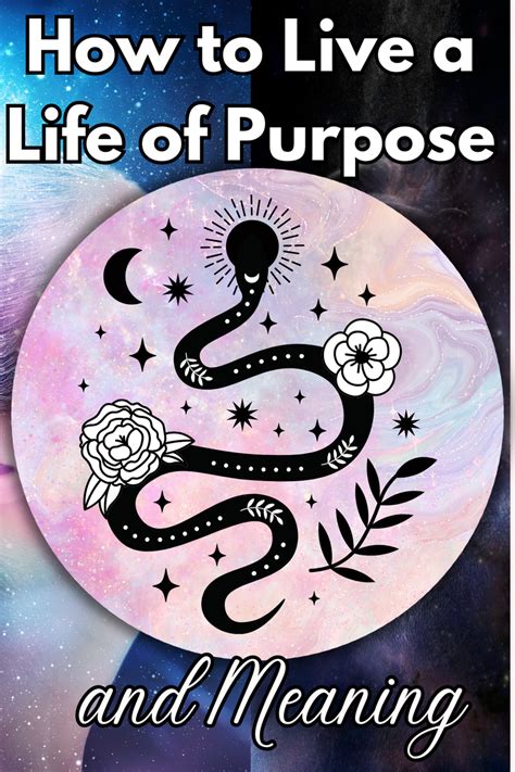 Meaning Of Live