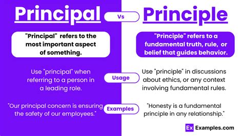 meaning of principle