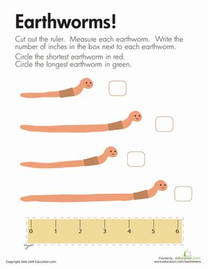 Measuring Length Earthworms Worksheet Education Com Measuring Worms Worksheet - Measuring Worms Worksheet