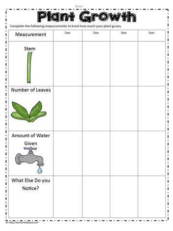 Measuring Plants Worksheet And Growth Pack Twinkl Resource Plant Growth Worksheet - Plant Growth Worksheet
