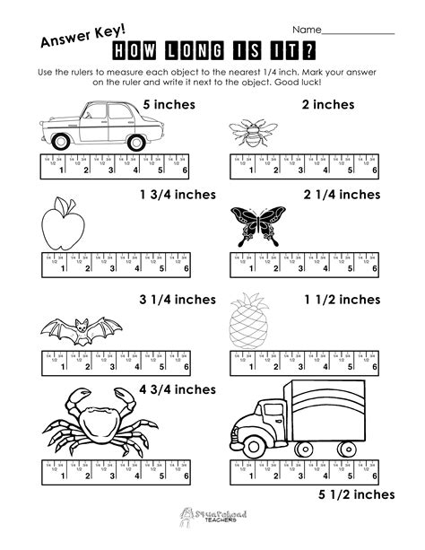 Measuring To The Nearest 1 4 Inch Worksheet Measure In Inches Worksheet - Measure In Inches Worksheet