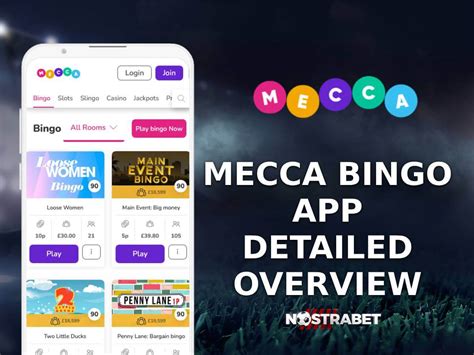 mecca bingo mobile site