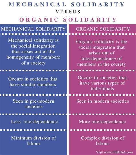 Mechanical And Organic