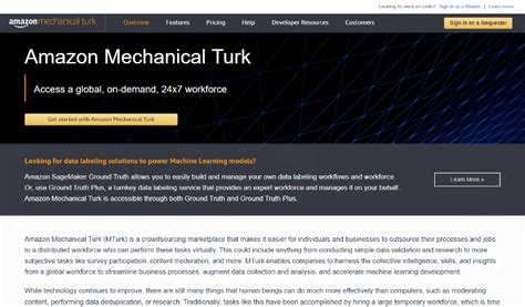 Mechanical Turk Website