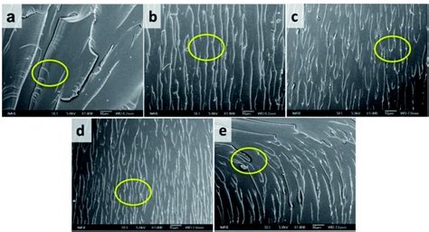Read Mechanical Tests On Epoxy Resin Nanoscale Modulus 
