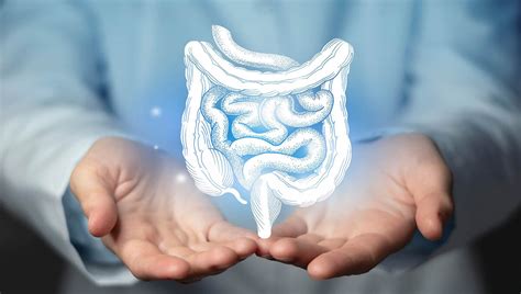 mechanisches ileum