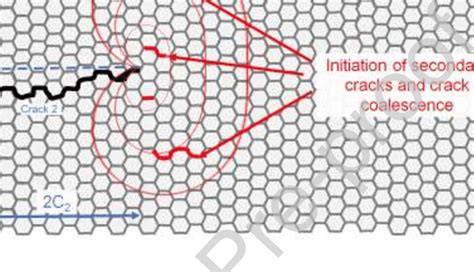 Mechanisms Of Evolution Crack The Code Answer Key