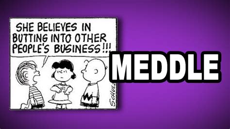 Meddle Meaning