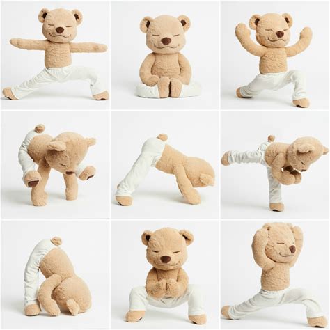 Meddy Teddy