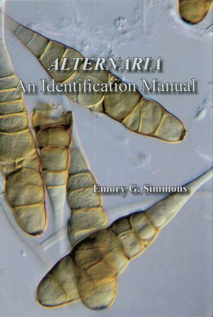 media for alternaria identification