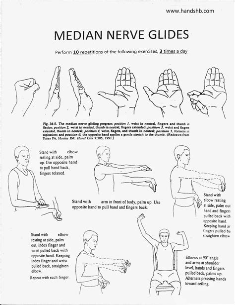 Full Download Median Nerve Gliding Exercises Nehand 