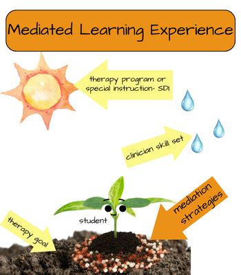 Mediated Learning Experience