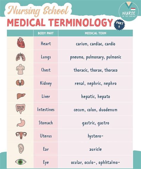 medical assistant terminology list