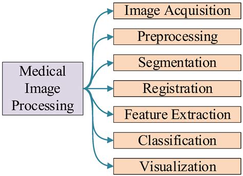 Medical Image Processing Techniques And Applications Biological And Medical Physics Biomedical Engineering
