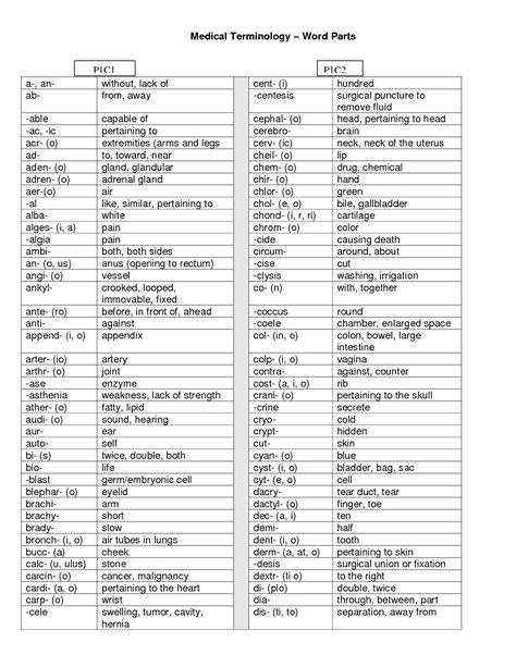medical terminology advanced guide to examine key