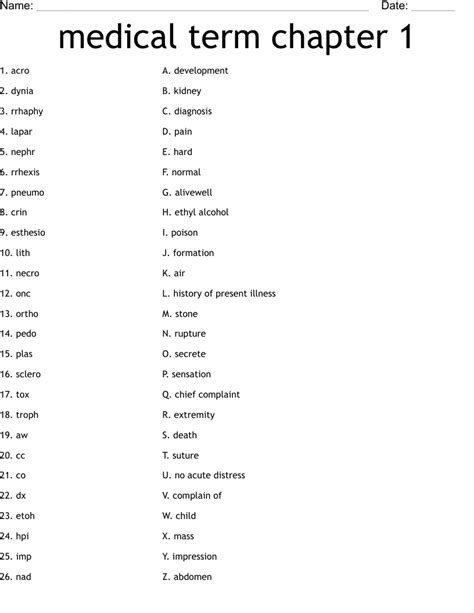 Medical Terminology Chapter 1 Basic Word Structure 2