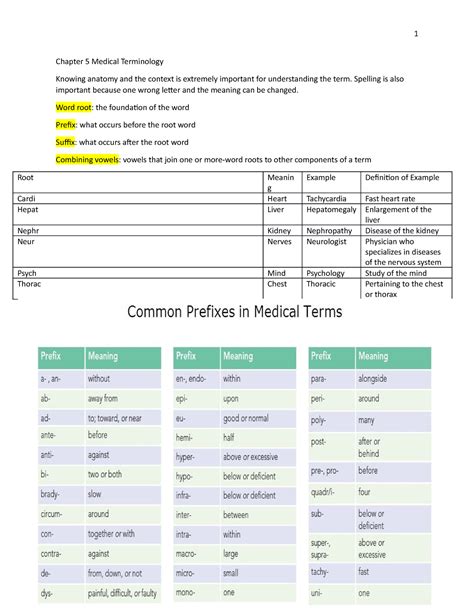 Medical Terminology Chapter 5 The Cardiovascular System Answers