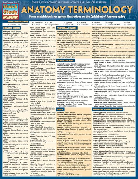 Medical Terminology Cheat Sheet