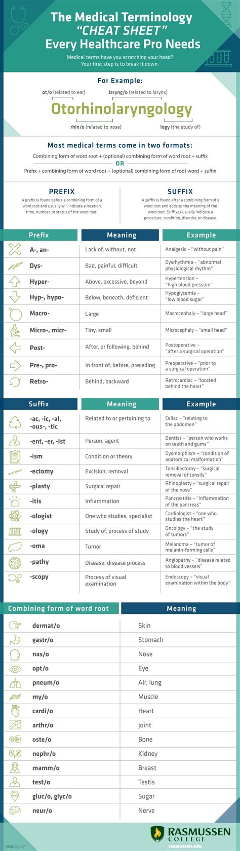 Medical Terminology Cheat Sheet Pdf