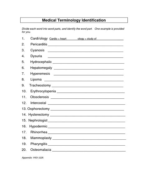 Medical Terminology Practice Test