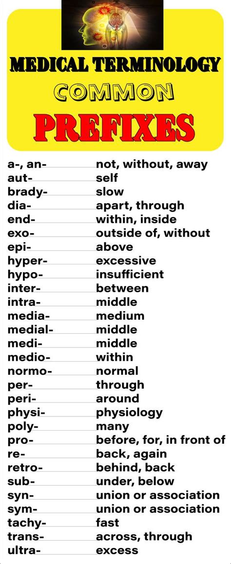Medical Terminology Prefixes Worksheet Science Prefixes And Suffixes Worksheets - Science Prefixes And Suffixes Worksheets