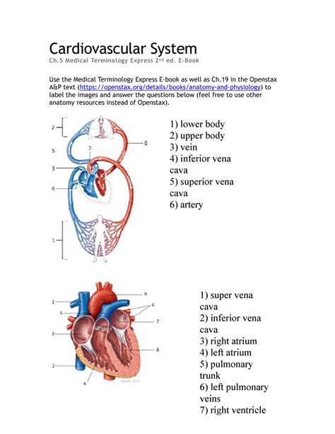Download Medical Terminology Chapter 5 The Cardiovascular System Answers 