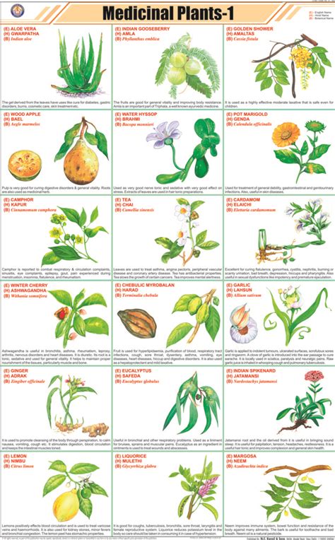 Medicinal Plants Chart Pdf