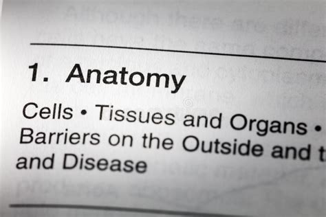 medische consistentie definitie