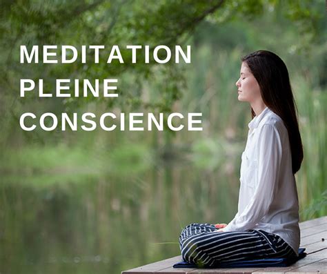 Read Online Meditation Pleine Conscience 8 Exercices Meacuteditatifs Contre La Deacutepression Comment Occuper Rapidement Une Bien 