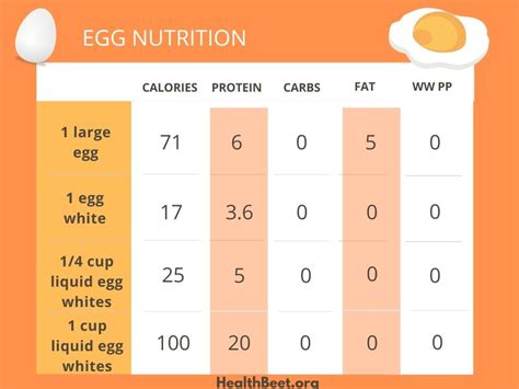 medium egg calories protein