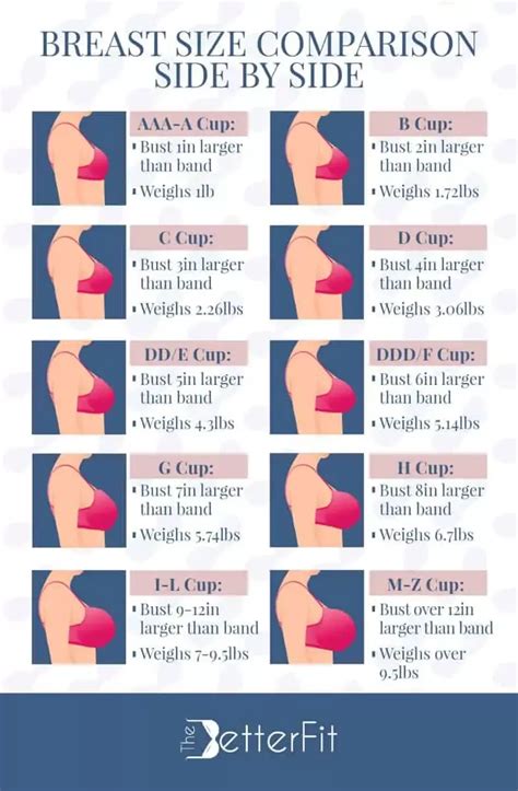 medium size boobs nude