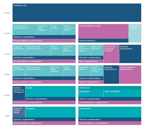 medizinstudium module