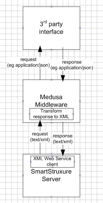 Medusa Store Middleware