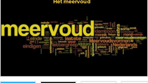 meervoud van biografie