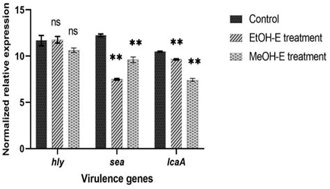 mega6/55 | Kt qu x s Power 655 Minh